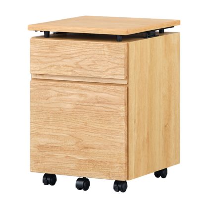 10258903_iwaki_wagon_lbr_2